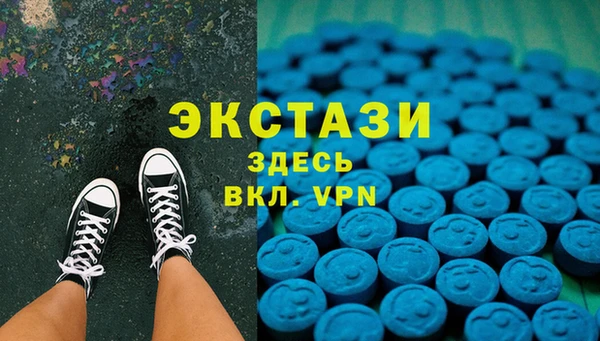ГАЛЛЮЦИНОГЕННЫЕ ГРИБЫ Аркадак