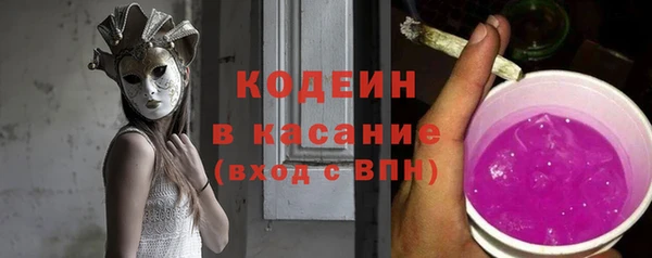 индика Армянск