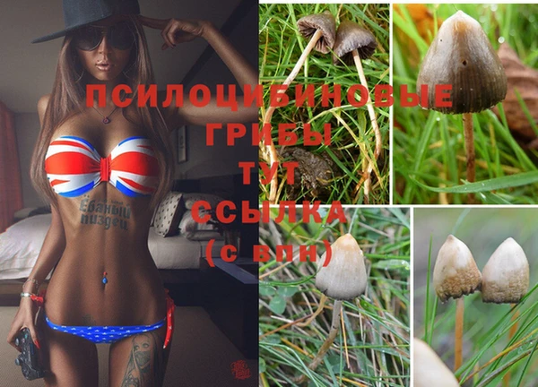 а пвп мука Арсеньев