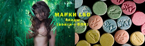 индика Армянск