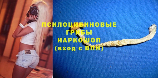 индика Армянск